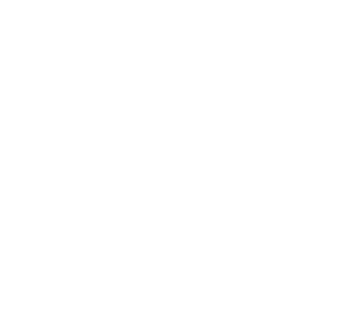 Multi Fuel Stoves icon